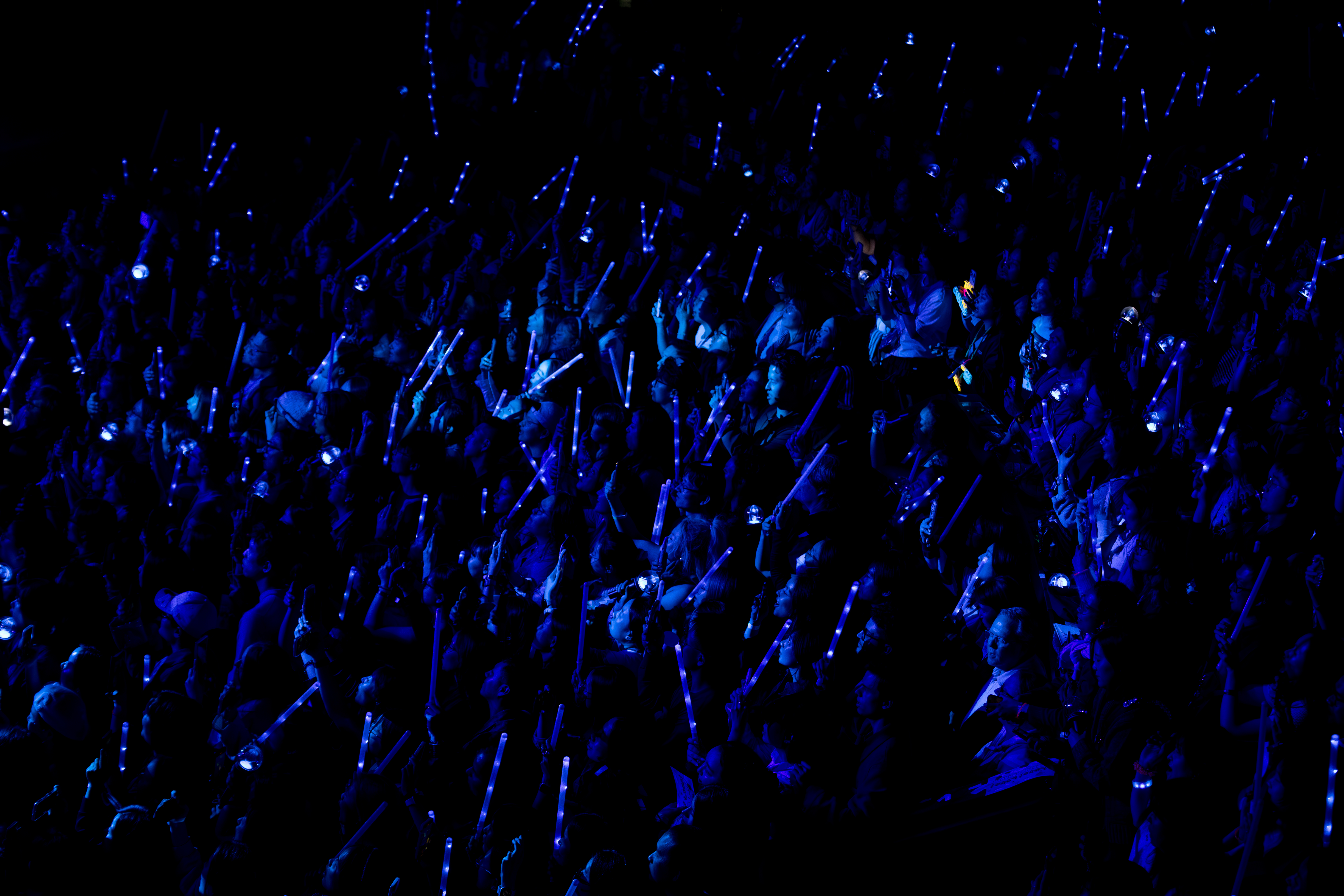 Concert Crowd 3